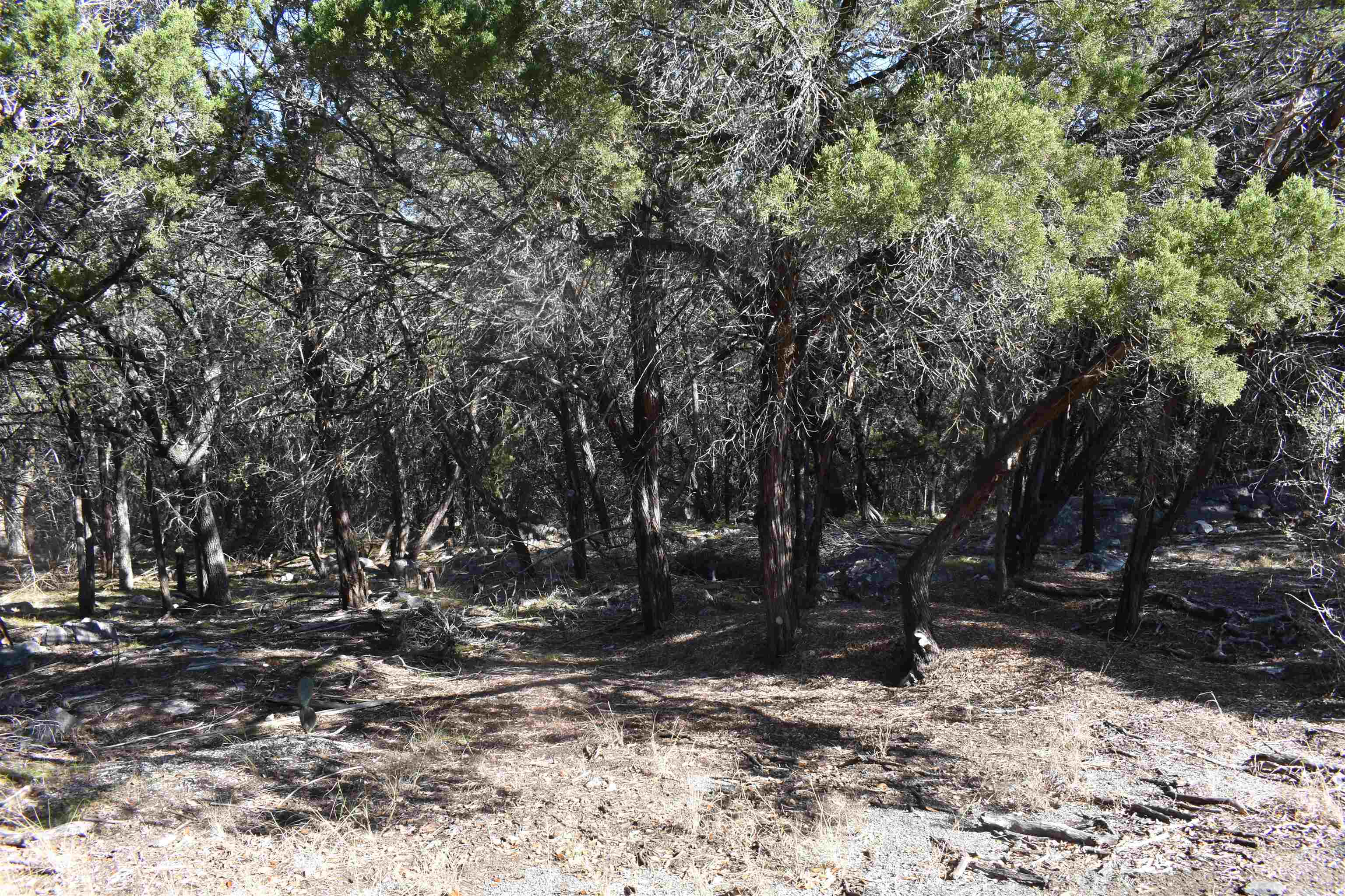 TBD Saddle Back Road, Horseshoe Bay, TX 78657