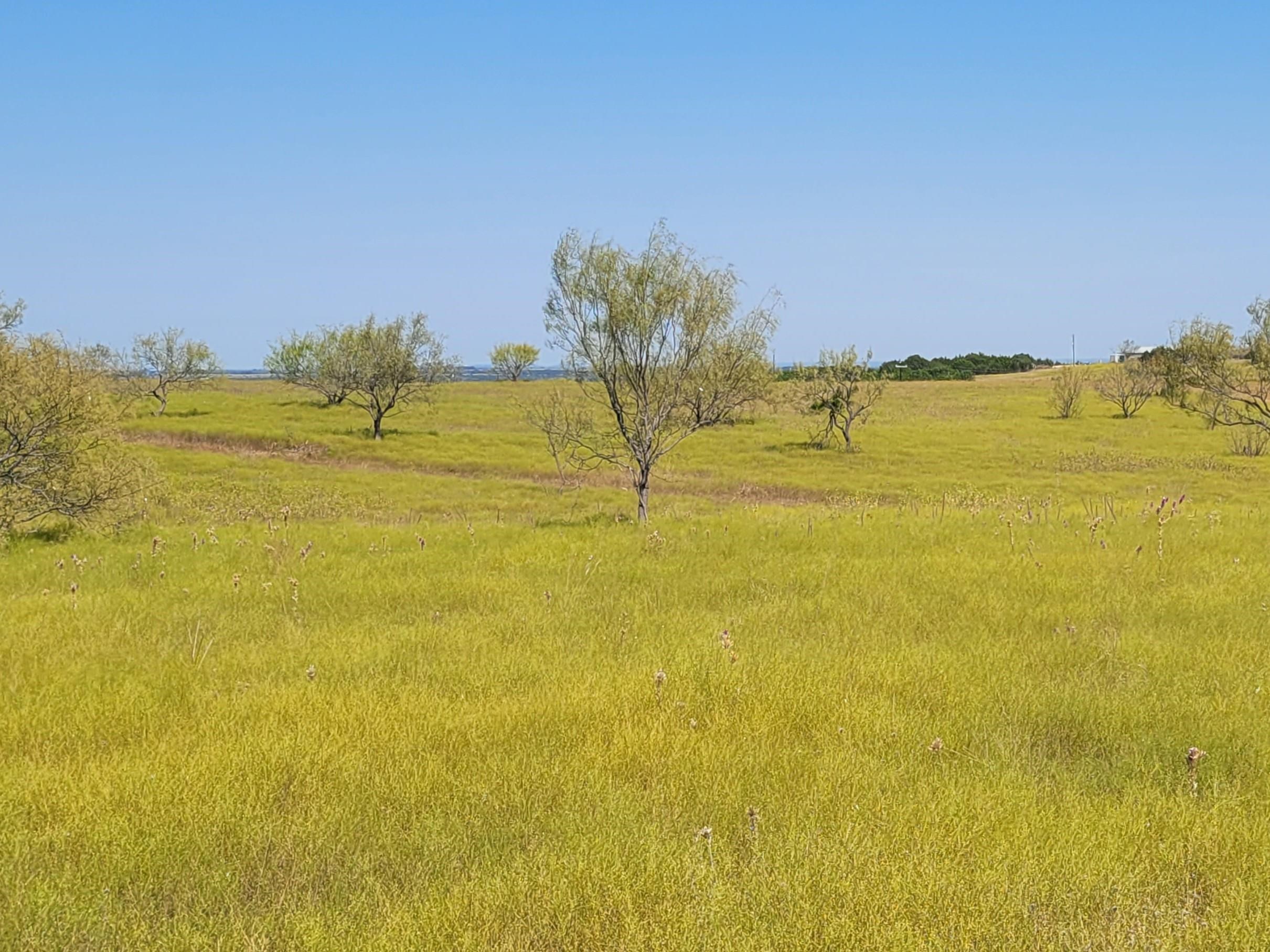 Tract 3 CR 207, Burnet, TX 78611