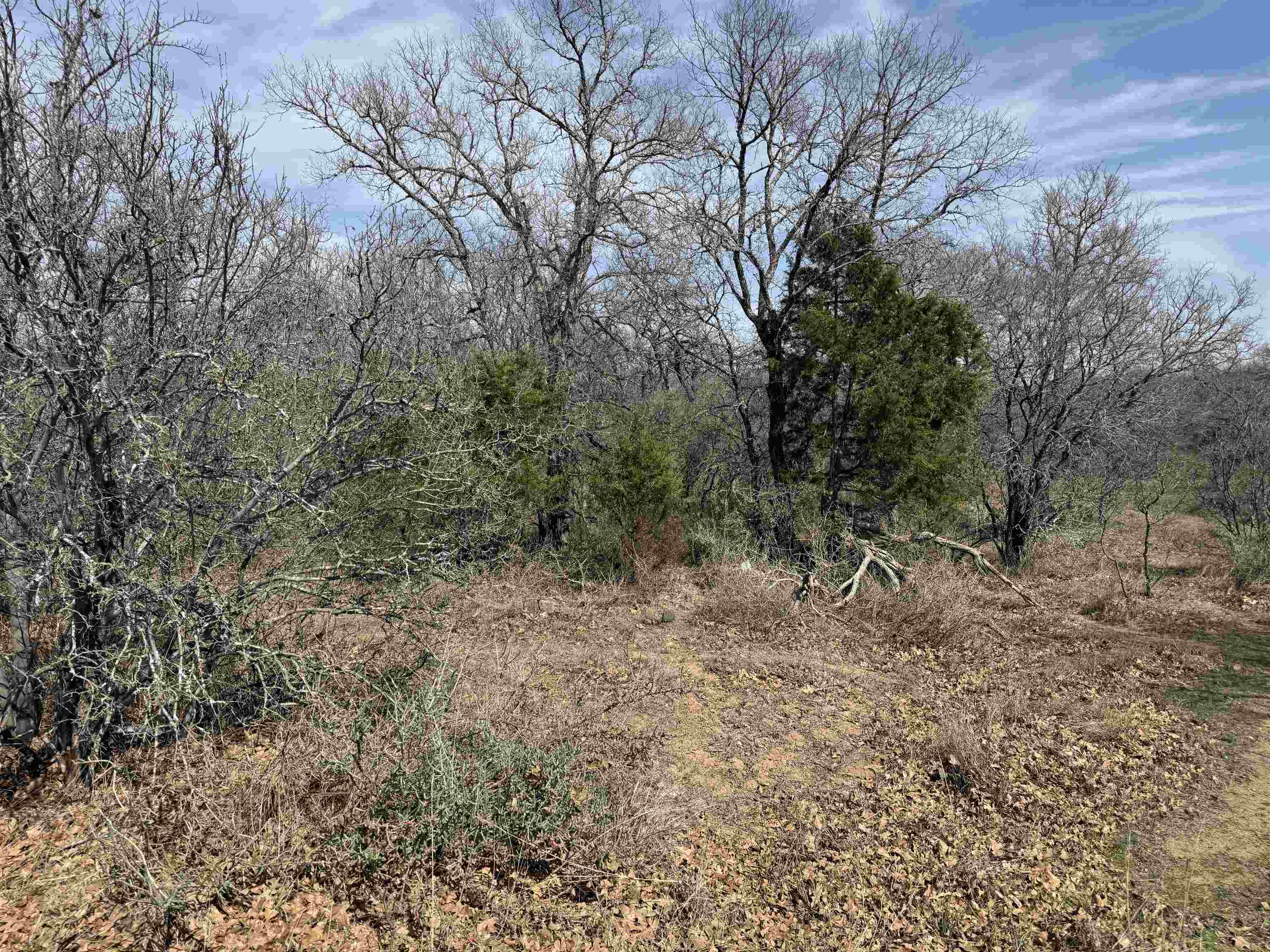 Lot 283-289 Aspermont Drive, Kingsland, TX 78639