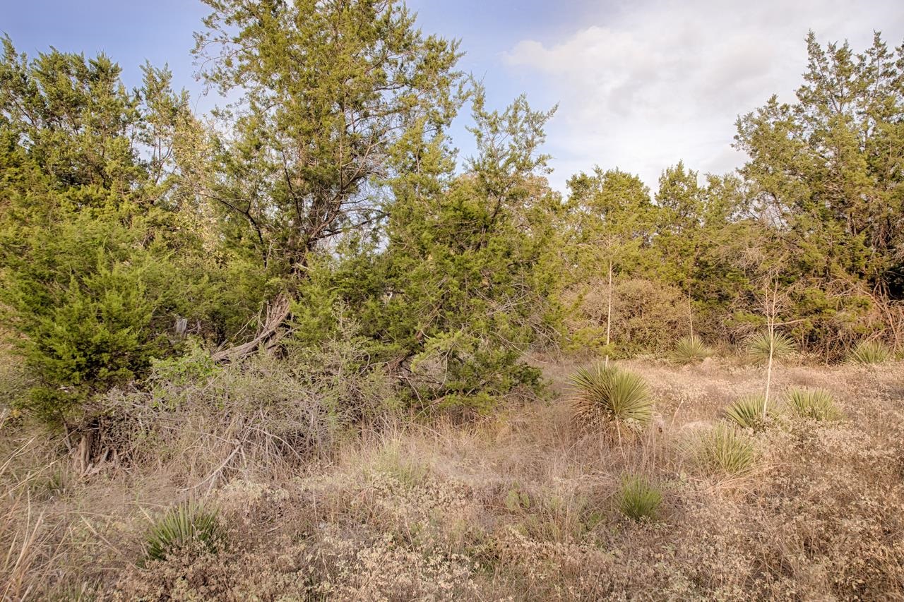 Lots 39 & 40 Clover Street, Kingsland, TX 78639