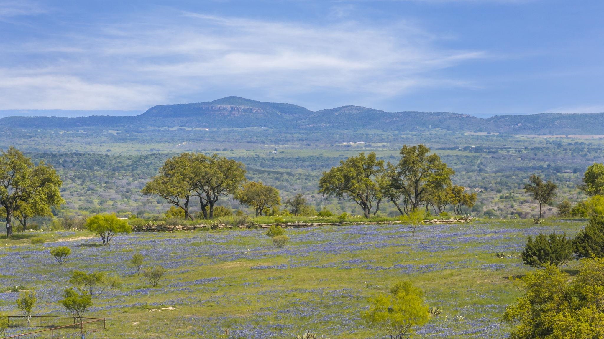 3531 RM 3347 Road, Round Mountain, TX 78663