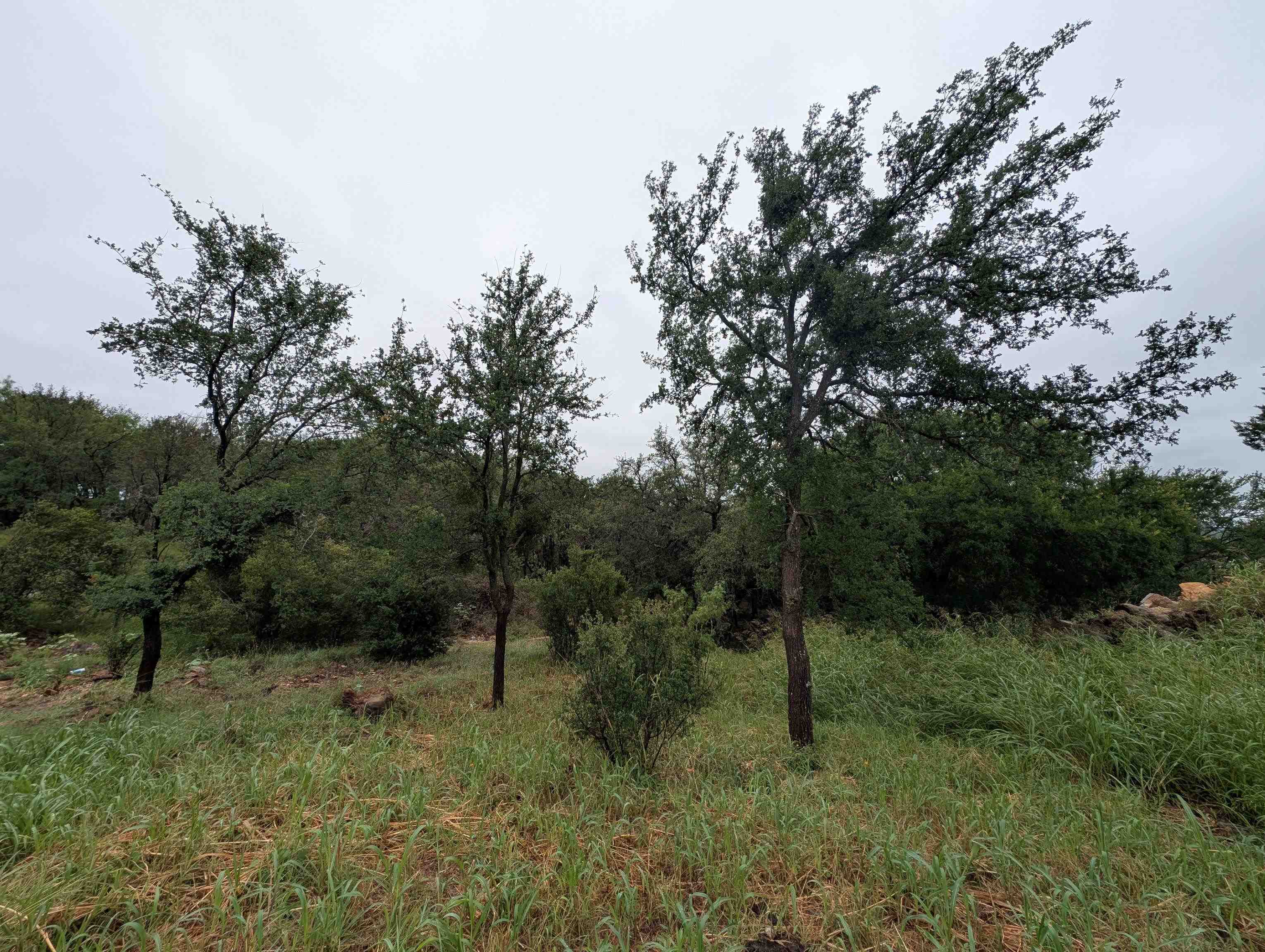 1106 Monterrey Oak Circle, Marble Falls, TX 78654