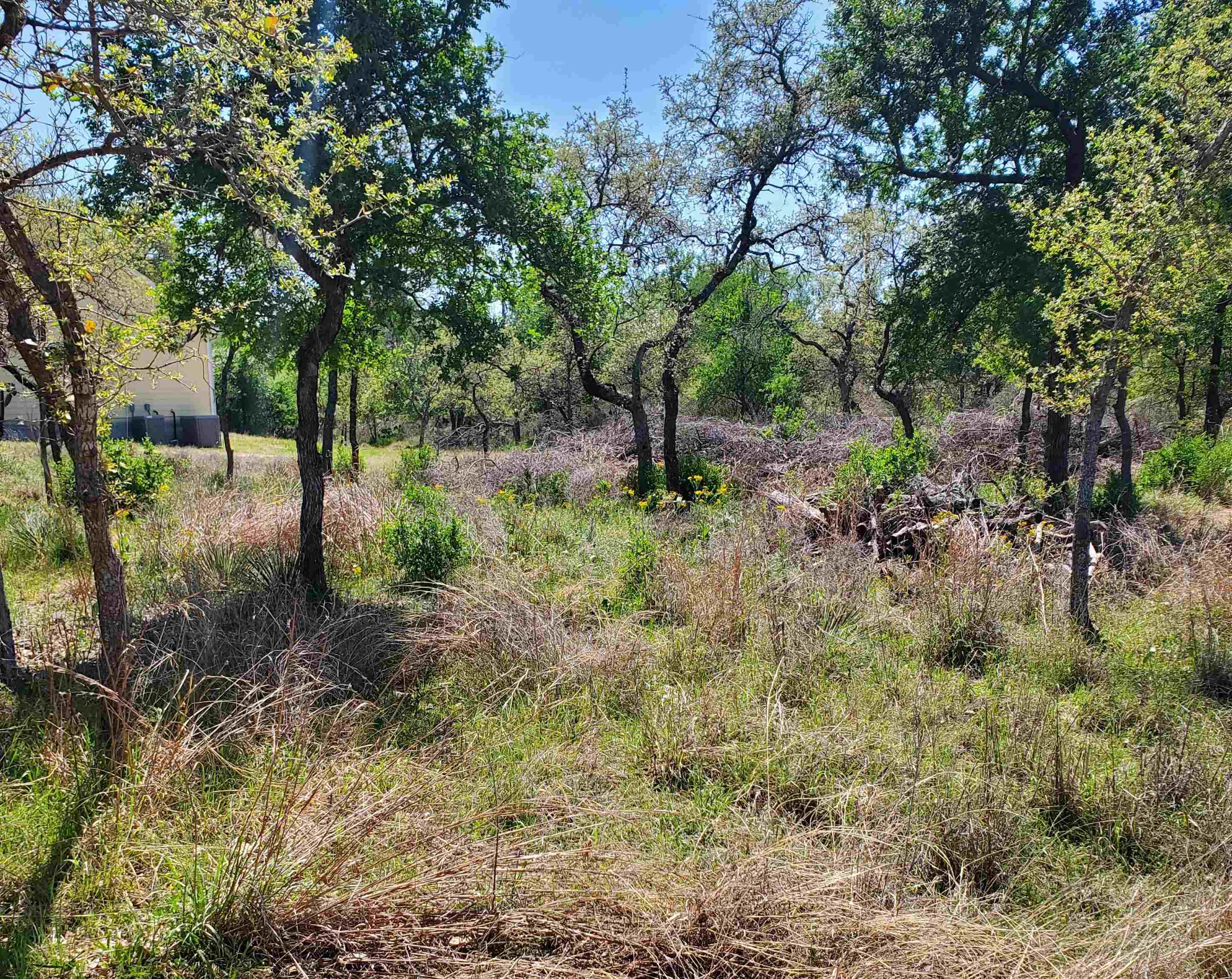 Lot 459-B Oakwood Drive, Granite Shoals, TX 78654