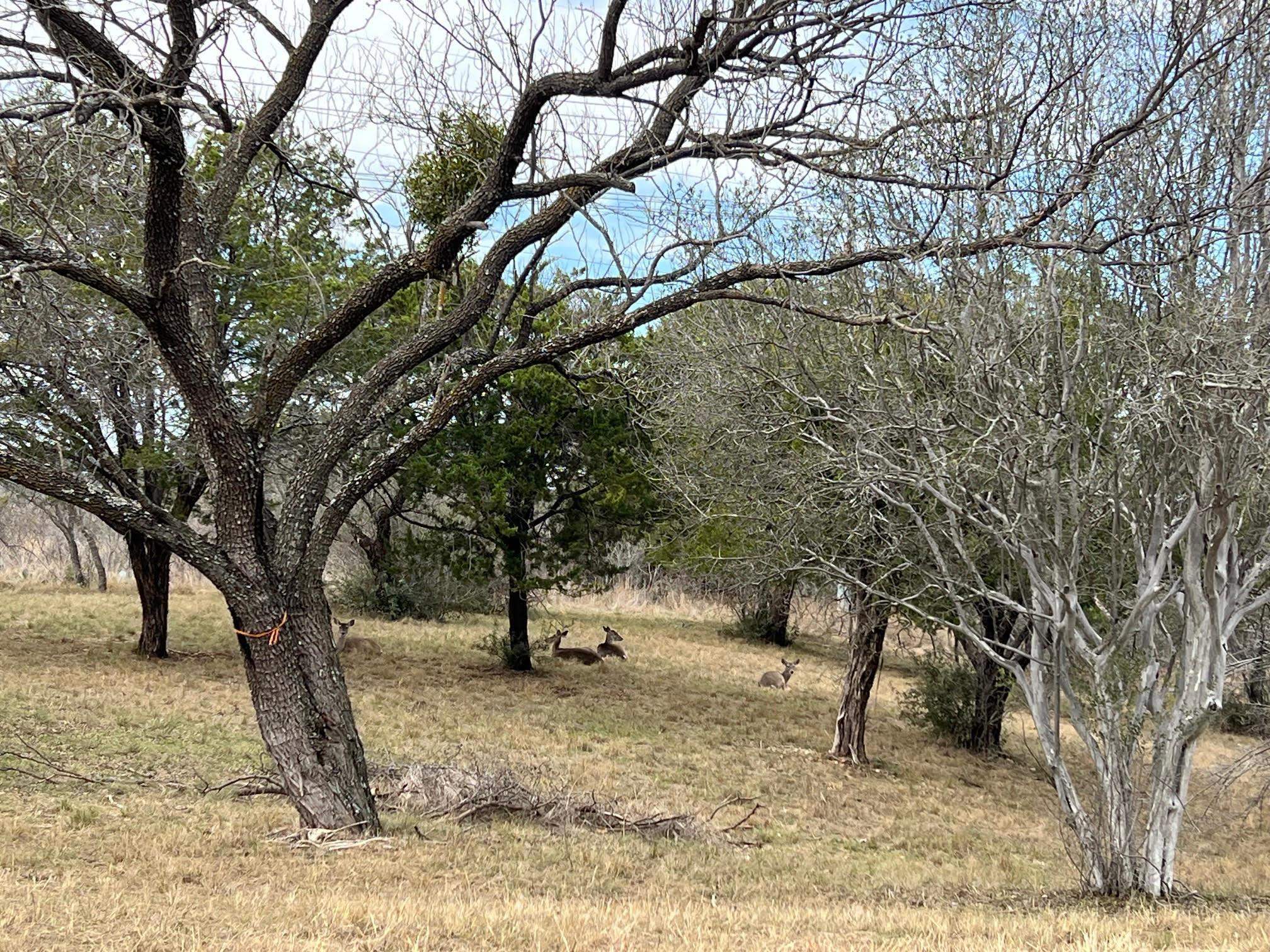 Duplex Lot 8002 Hi Circle West, Horseshoe Bay, TX 78657
