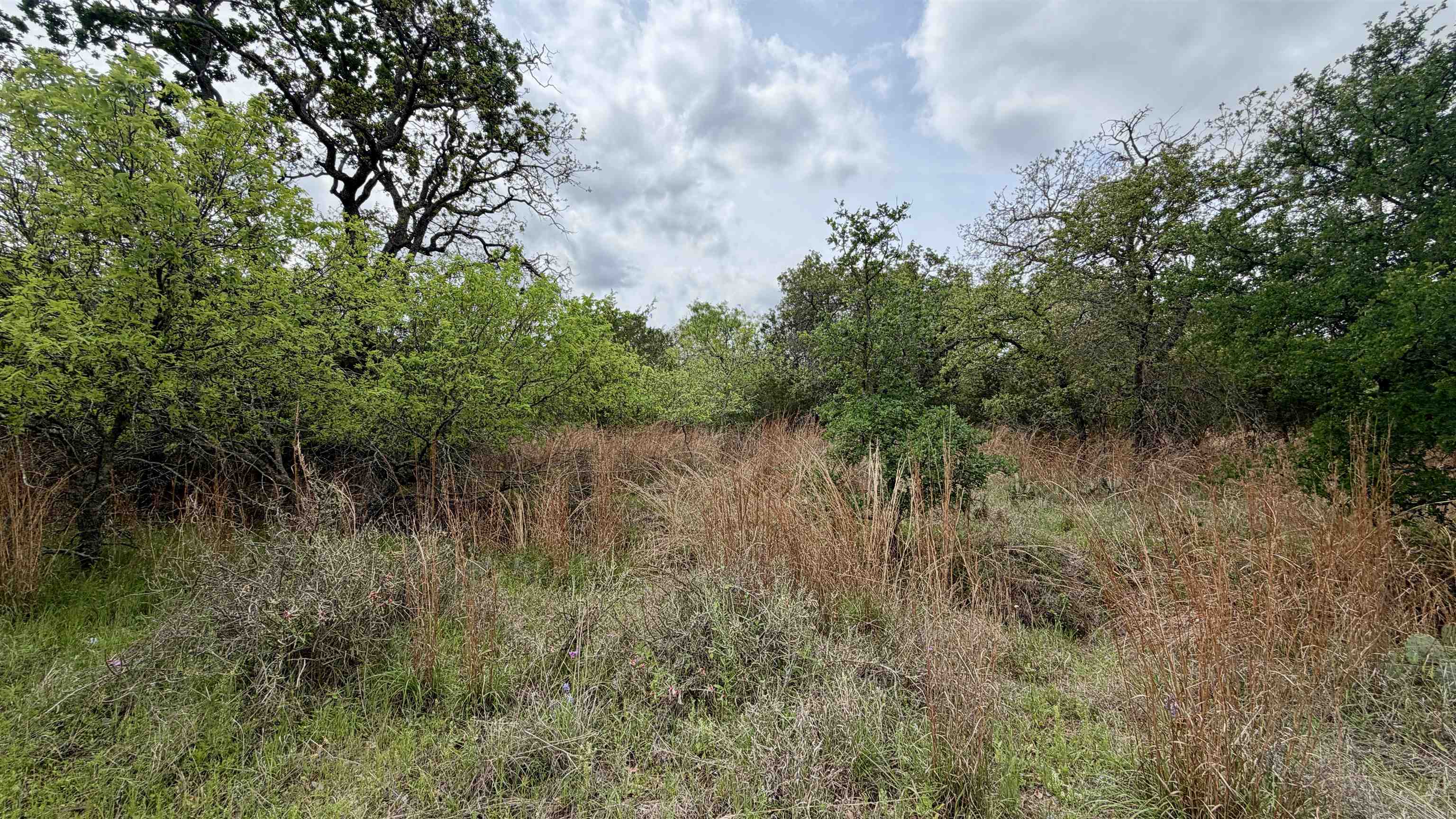 Lot 117 &142 Ridgemont & Brent, Kingsland, TX 78639