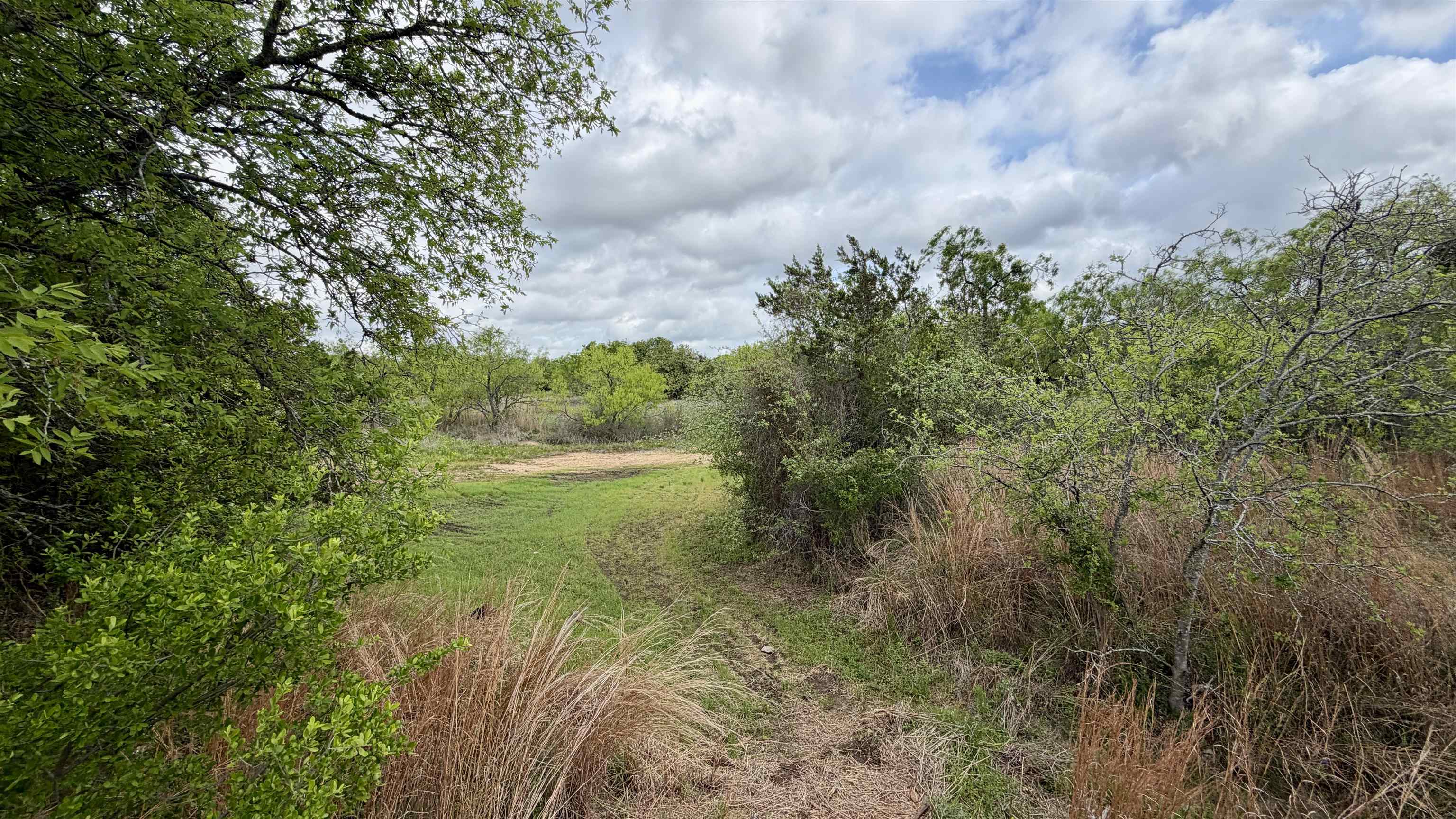 LT 130 Brent, Kingsland, TX 78639