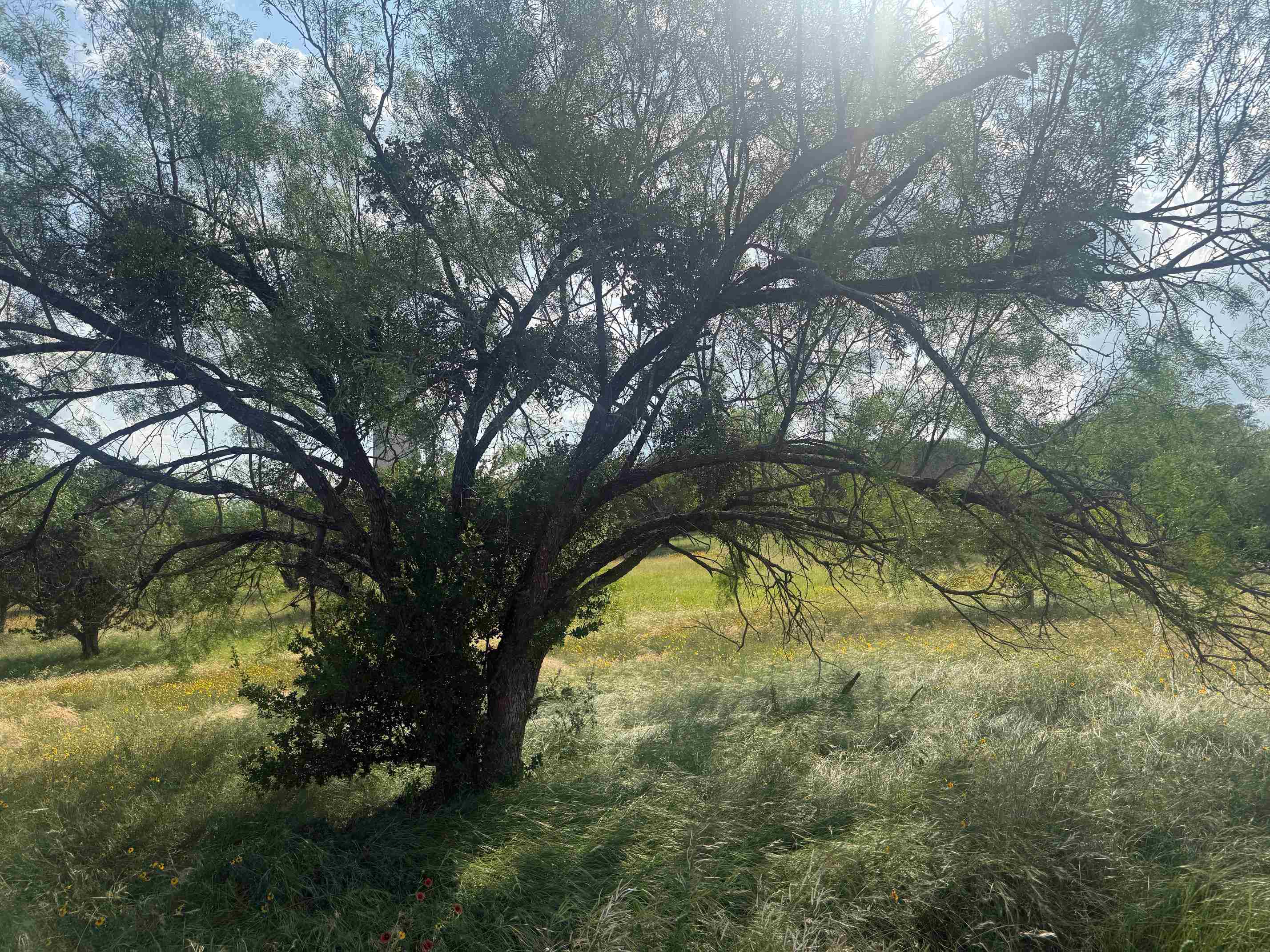 LT W11013A Broken Hills, Horseshoe Bay, TX 78657