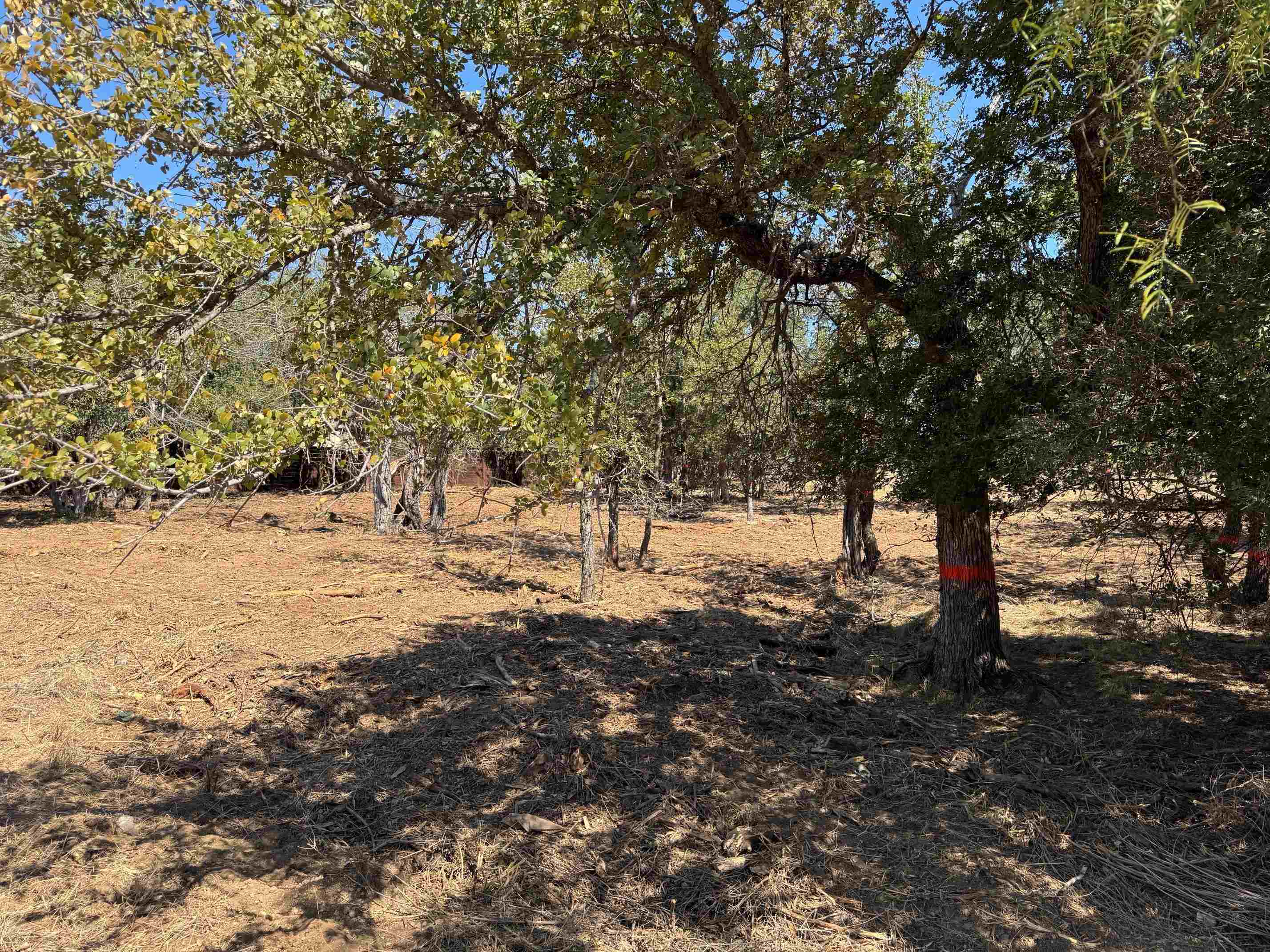 Lots 288 & 289 Maple Drive, Granite Shoals, TX 78654