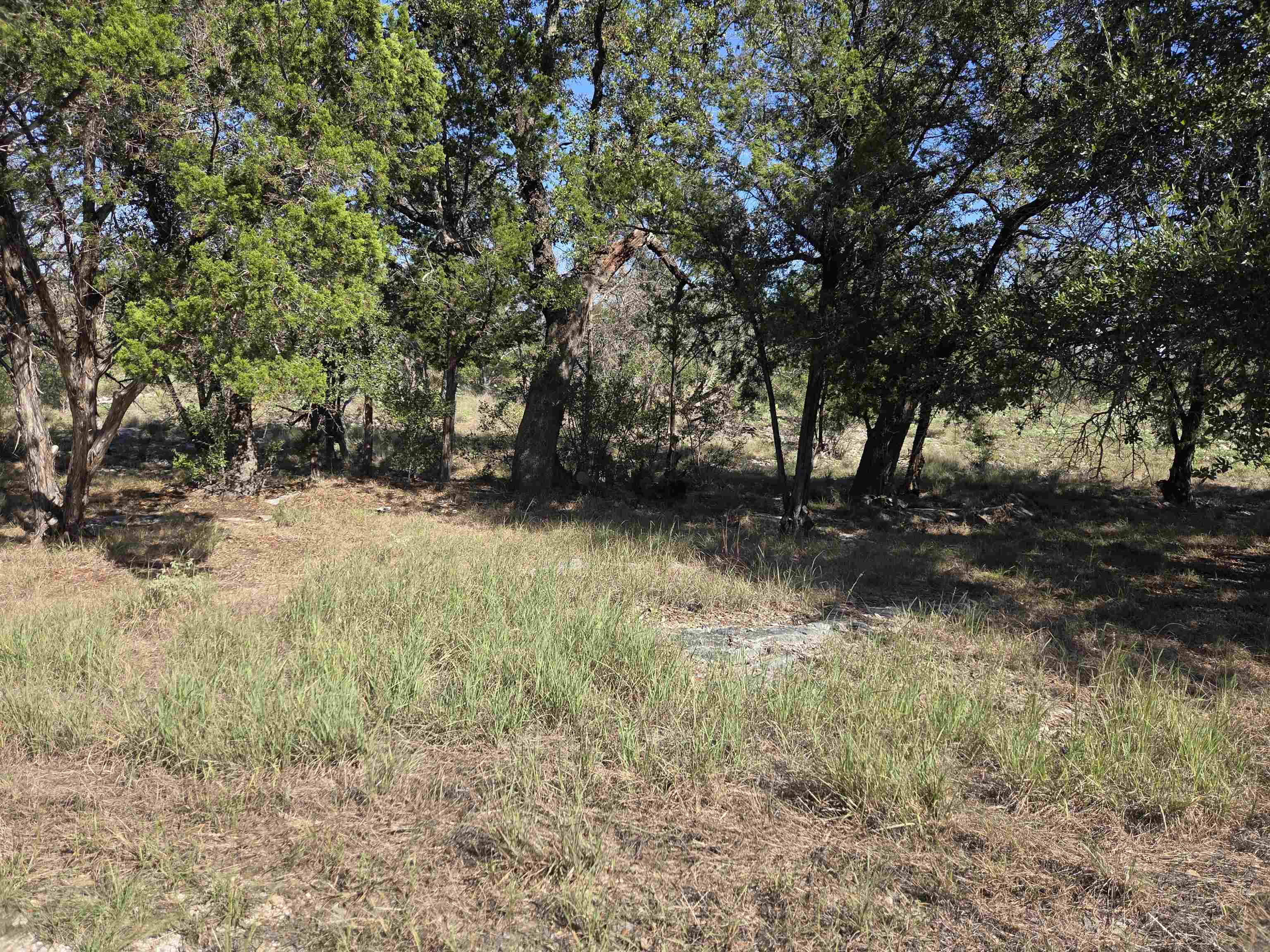LT S5221 Mountain Dew, Horseshoe Bay, TX 78657