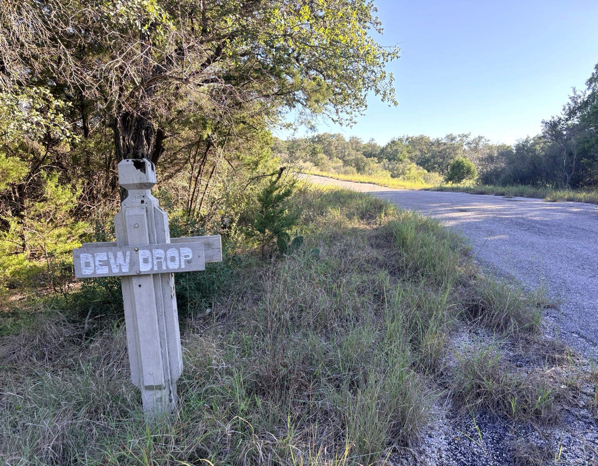 S5220 Mountain Dew, Horseshoe Bay, TX 78657