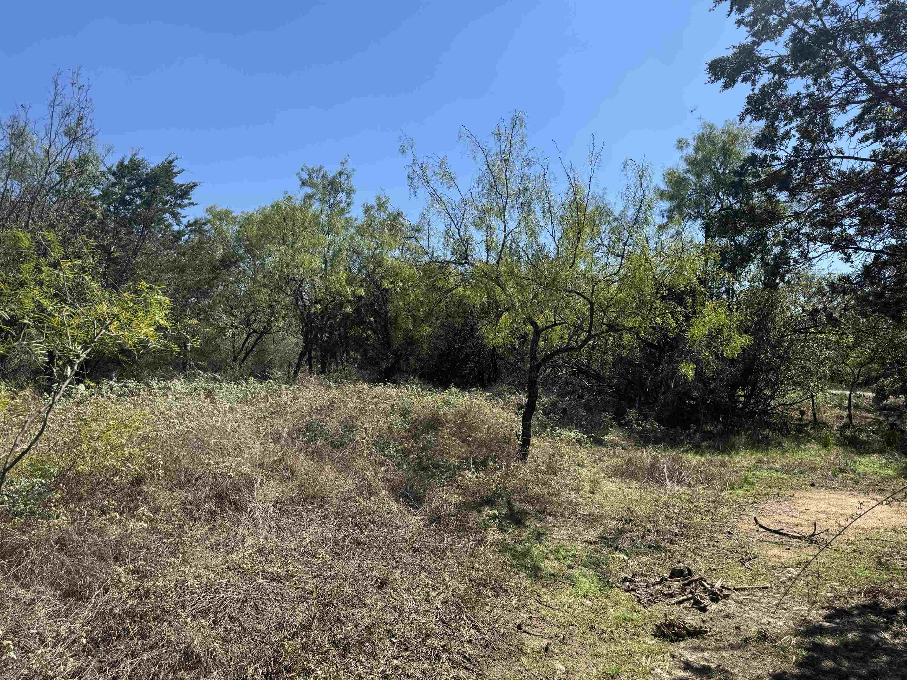 TBD lot-148 Concho Trail, Kingsland, TX 78639