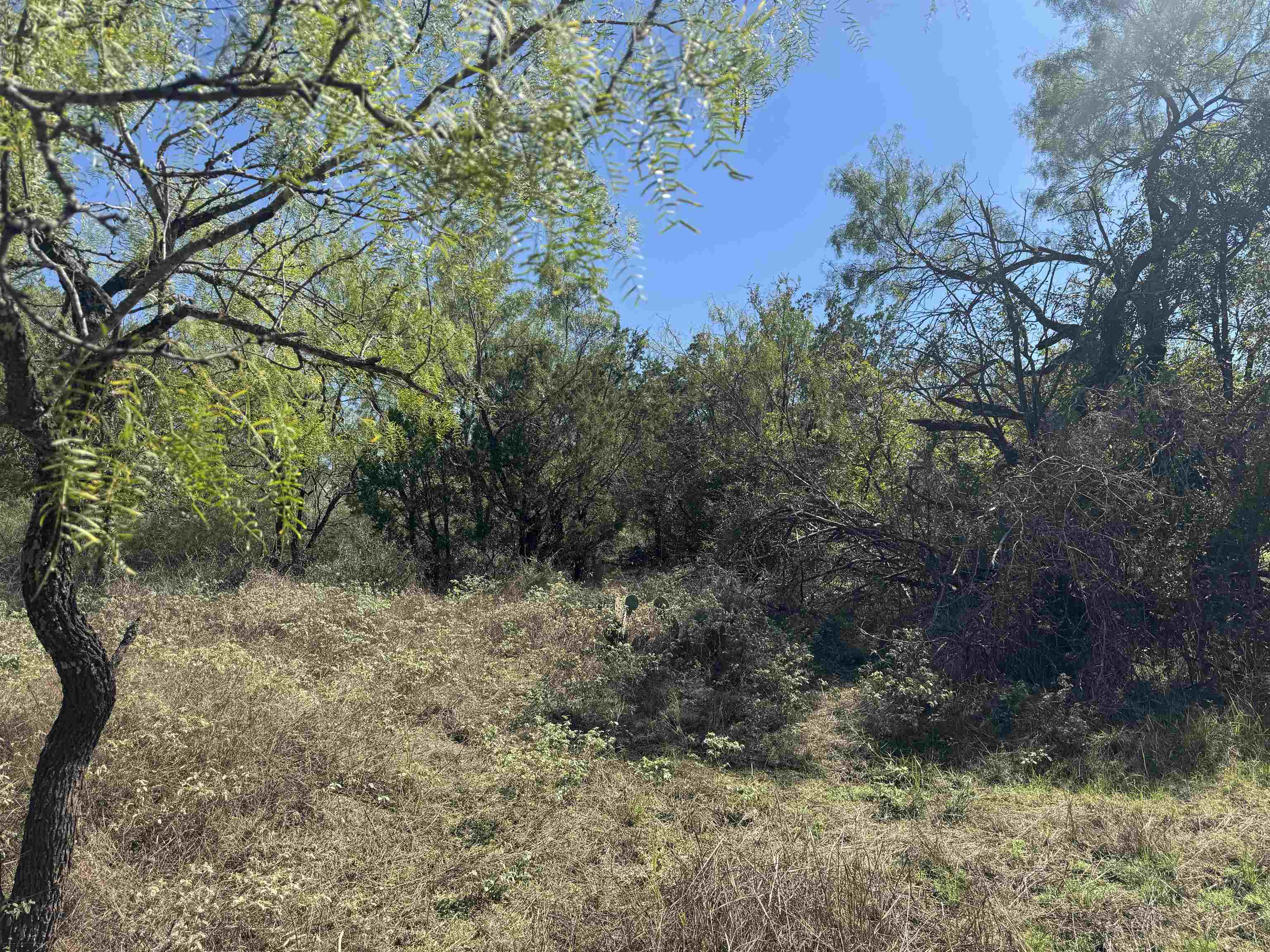 TBD Lot 149 Concho Trail, Kingsland, TX 78639